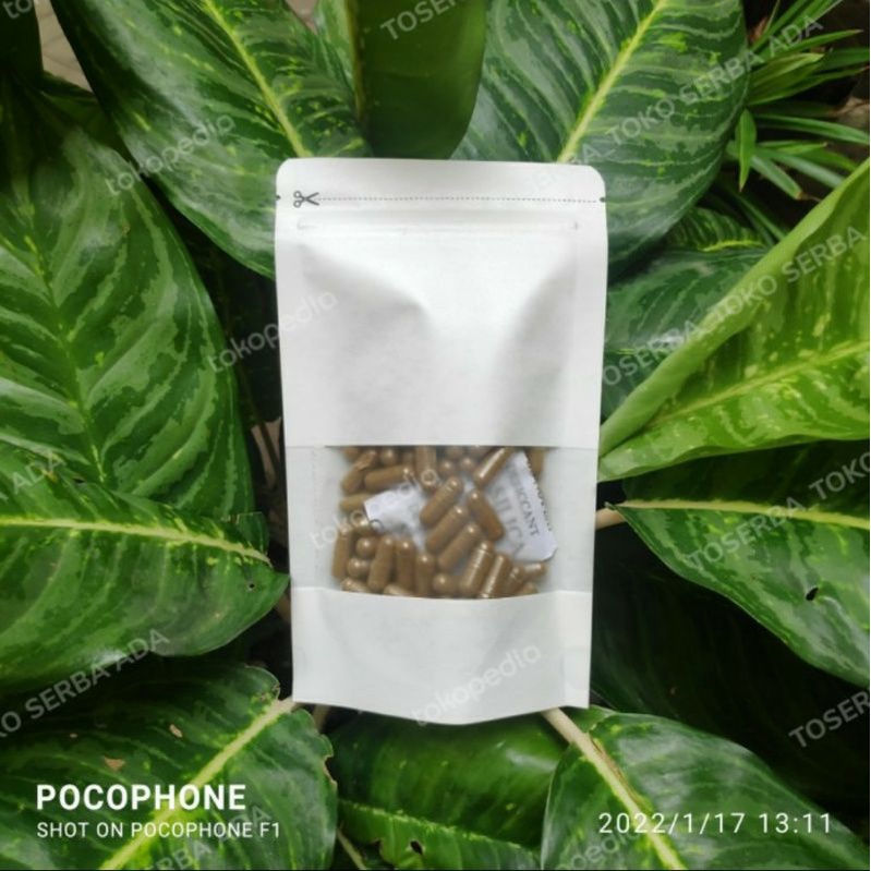 

120 Kapsul Yin Xing Ye Daun Gingko Biloba Herbal Vertigo Sehat Otak