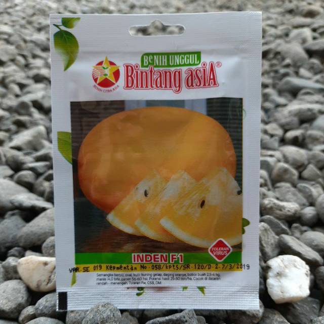 Benih Bibit Biji Semangka Kuning INDEN