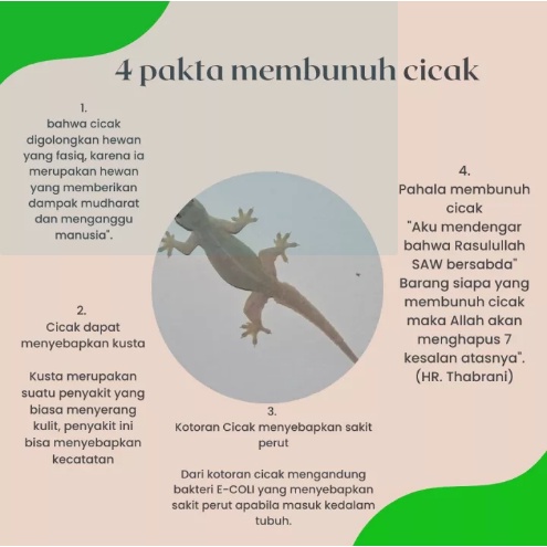 GROSIR RACUN CICAK PALING AMPUH HERBAL AMAN