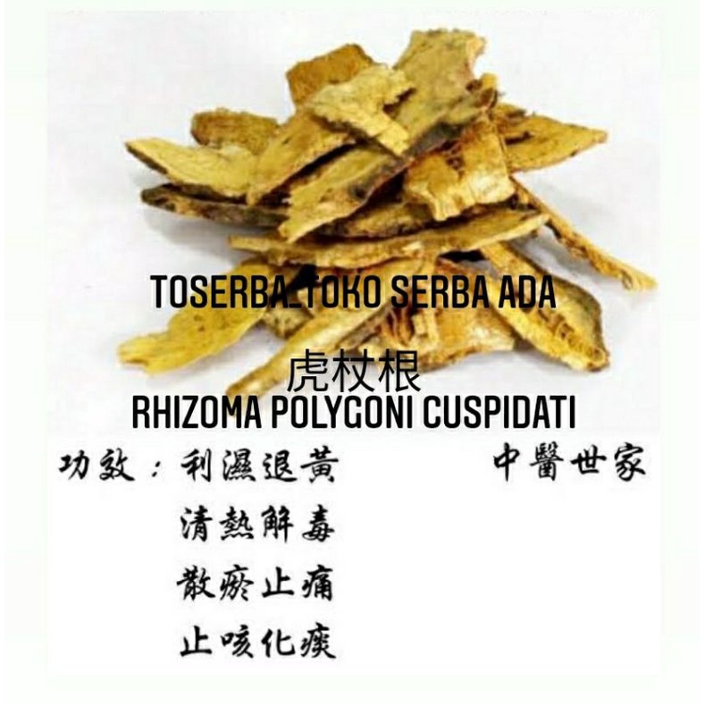 

100gr Herbal Hu Zhang 虎杖 Giant Knotweed Root / Japanese Knotweed Root / Polygoni Cuspidati Rhizoma Et Radix / Rhizoma Polygoni Cuspidati Premium Grade