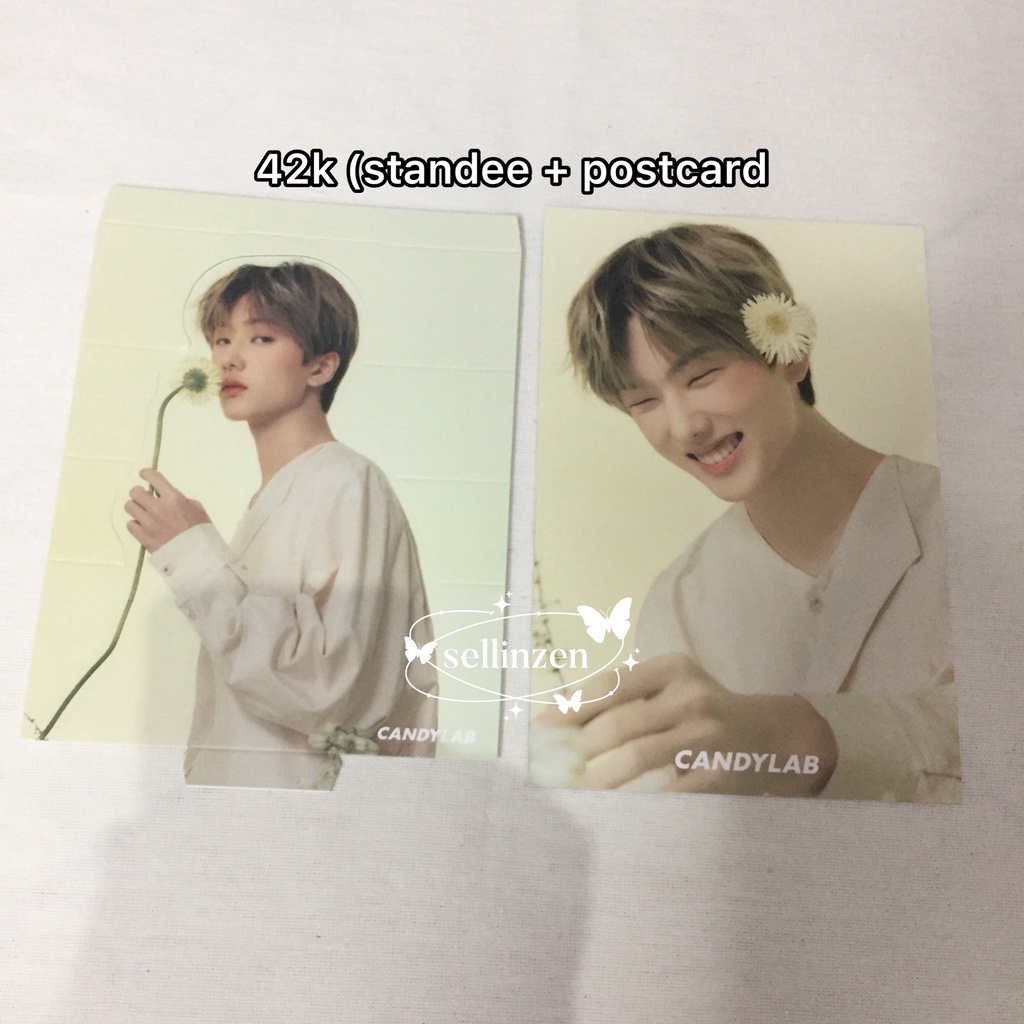 jisung postcard standee candylab v4 nct dream candylab versi 4 jisung