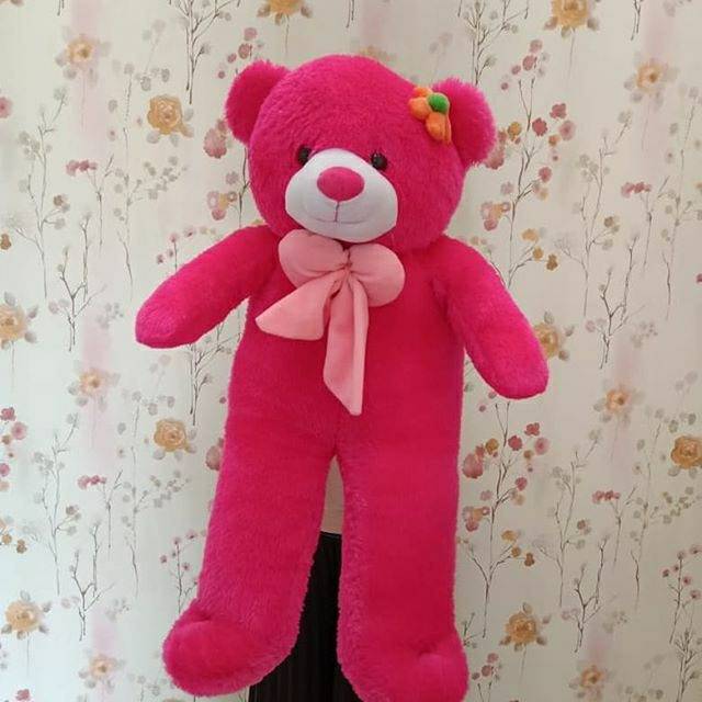 

Bear pita 90cm