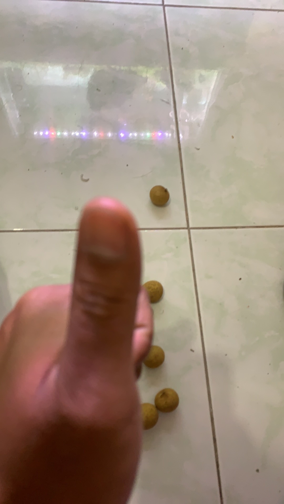 Drip Tape Valve, 16mm (lock Nut Fitting)