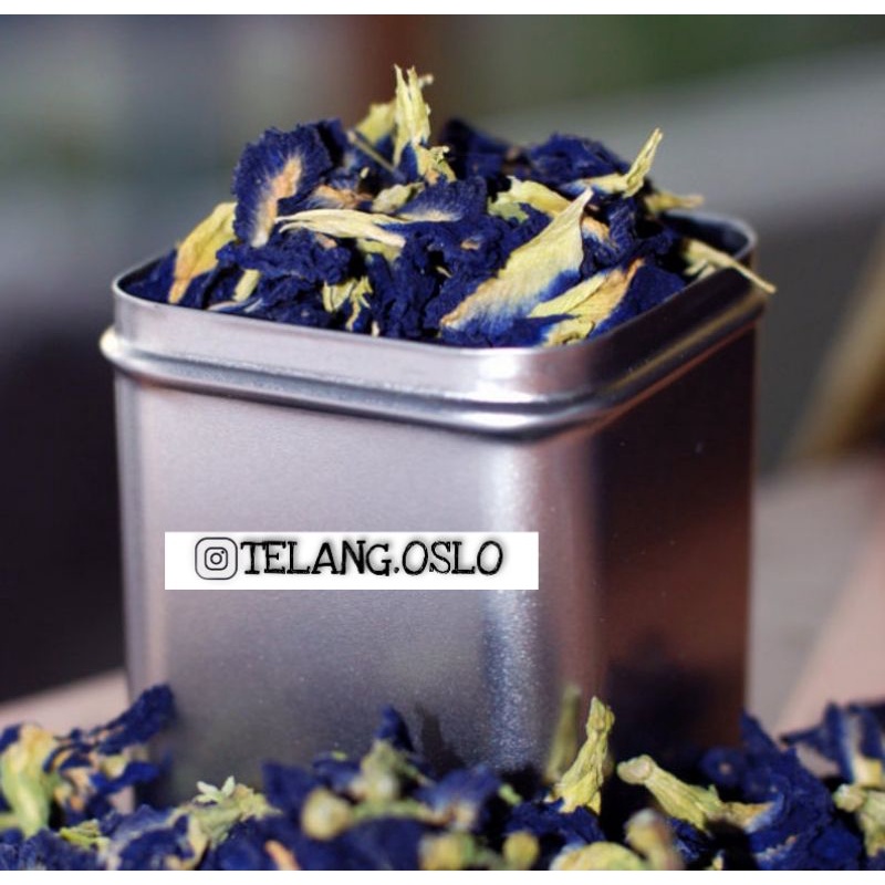 

Telang / Kembang Telang / Bunga Telang / Teh Telang /Teh bunga telang / Clitoria ternatea / bunga biru / bunga kelentit / kembang teleng/ bisi / bunga temen raleng/ Blue Tea