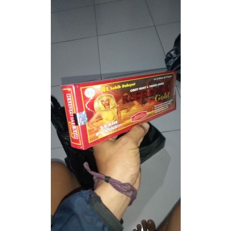 Kuda Mesir Gold Original