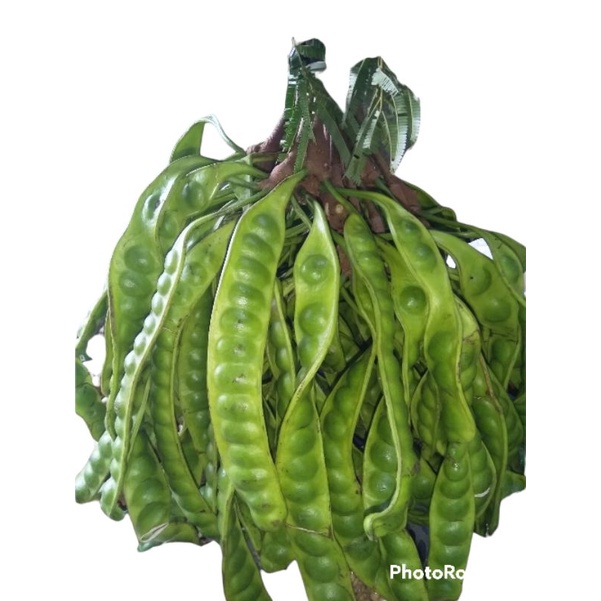 

PETE #LALAPAN #PETE TUA # READY STOCK