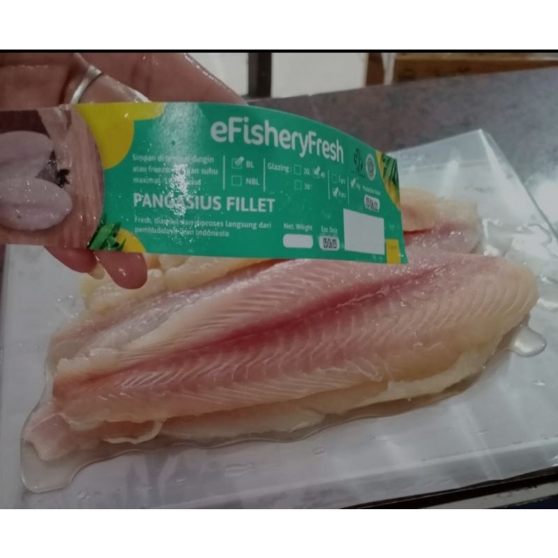 EFISHERY FRESH PANGASIUS FILLET