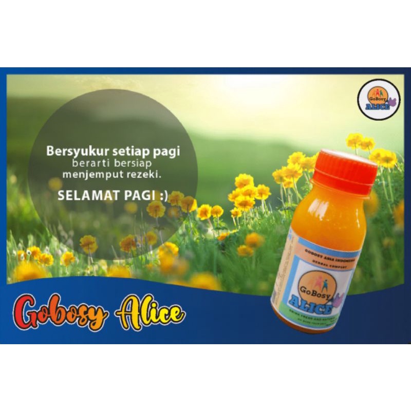 Obat diabetes - Herbal Gobosy Alice 8 botol