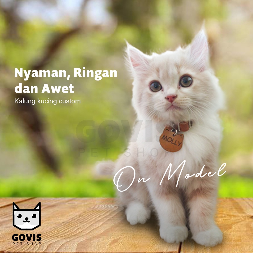 Kalung Kucing Kulit Asli Handmade - GRATIS Custom Nama