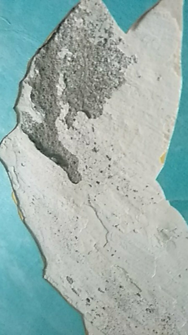 Harpic Pembersih Kamar Mandi Lime 500ml X 2 Pcs