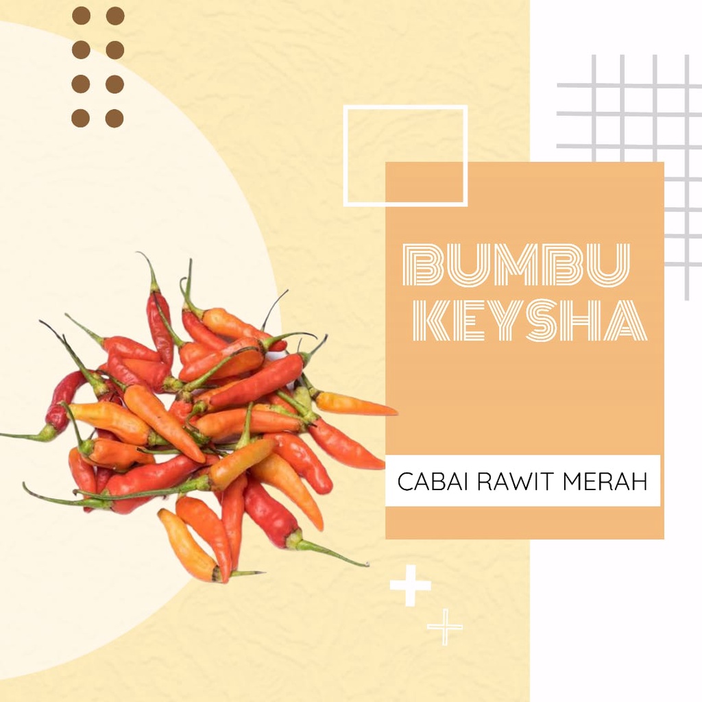 

Cabai Rawit Merah