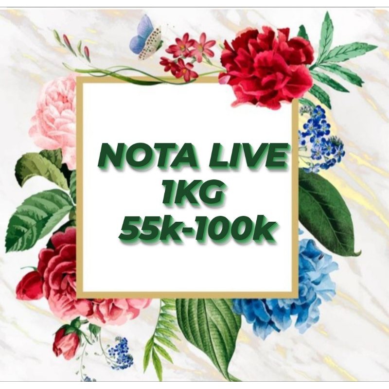 

belanja 1kilogram 55k-100k