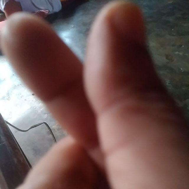 Aglonema Suksom Jaipong Anakan