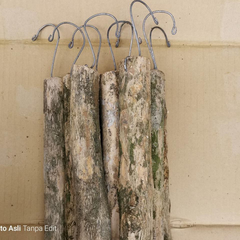 HOT Product Kayu Kopi Bulat - Media Anggrek