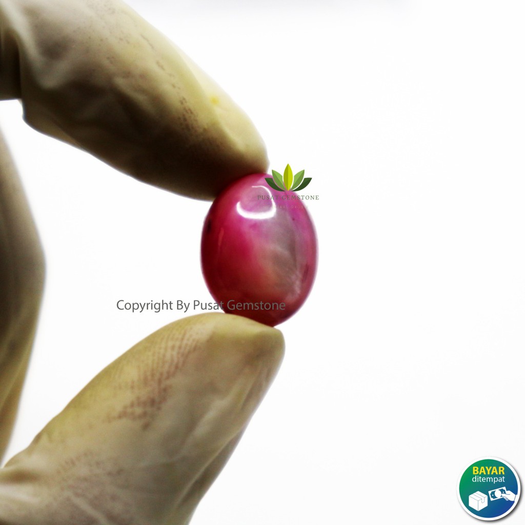 Batu Kerang Merah Delima