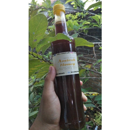 

MADU HUTAN dari LAMPUNG ASLI!