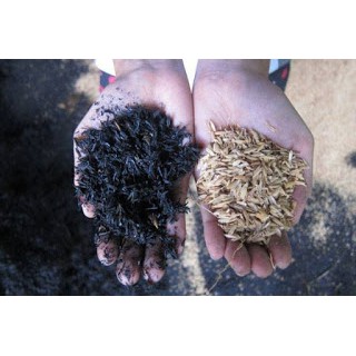 MEDIA TANAM 1kg | MEDIA TANAM KAKTUS | MEDIA TANAM SUKULEN | MEDIA TANAM BUNGA