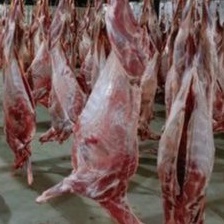 Daging Kambing 1kg/ Daging Kambing Segar/ Daging Kambing Murni