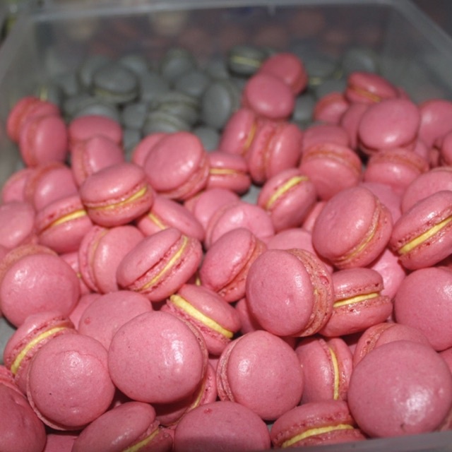 MACARON TERMURAH !!!!