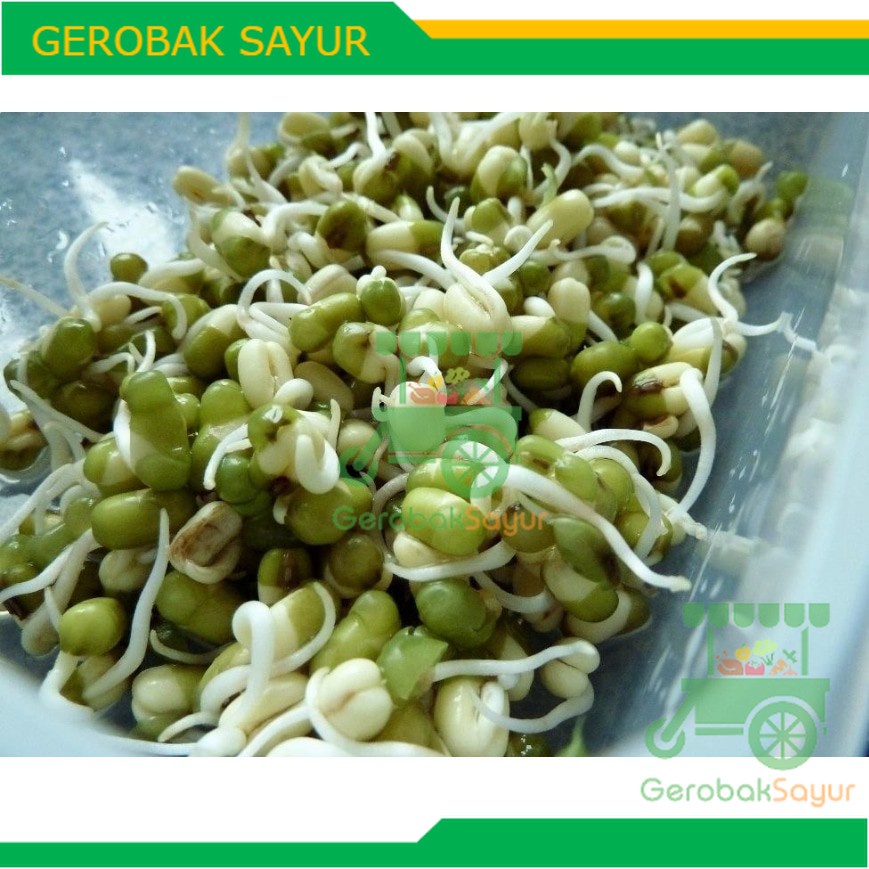 

Kecambah Toge / Toge Kecambah 250 g