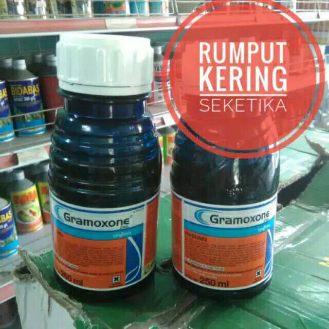 Obat rumput kering seketika Gramoxone