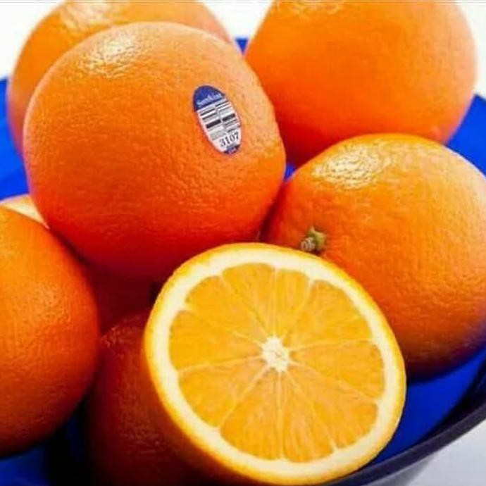 restock bibit buah jeruk sunkist di5kon