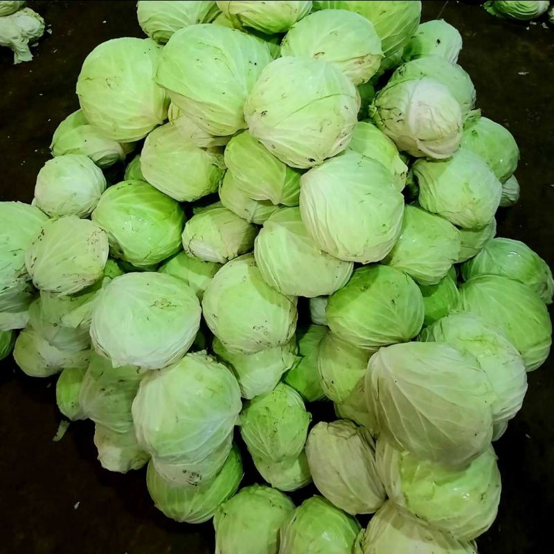 

kol 1kg