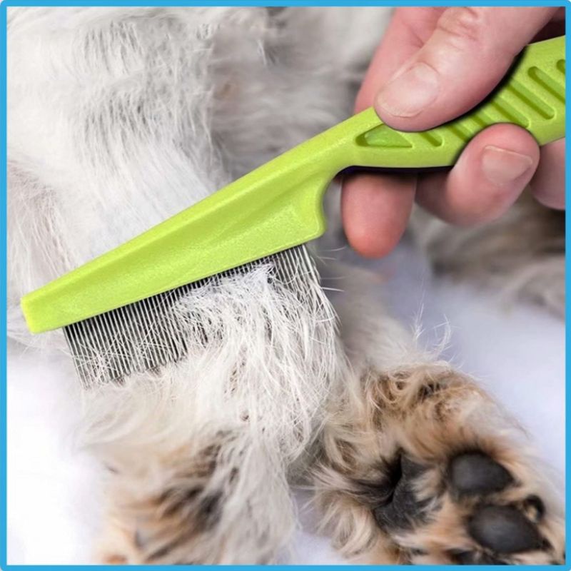 SISIR STAINLESS KUTU KUCING ANJING