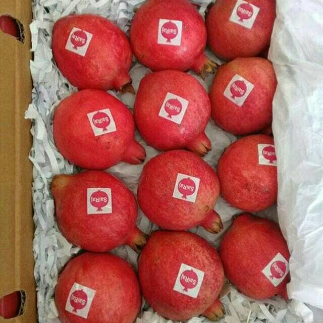 

Delima india per biji