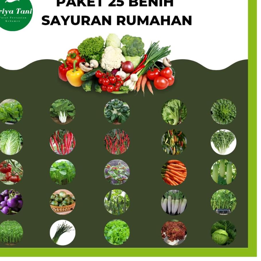 Review⚡ Paket Lengkap 25 jenis Benih Sayuran Rumahan Terlengkap Termurah Paket Usaha Pemula Benih Bi