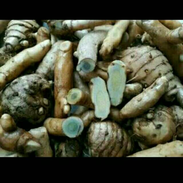 

500 gr kunyit hitam/ temu ireng