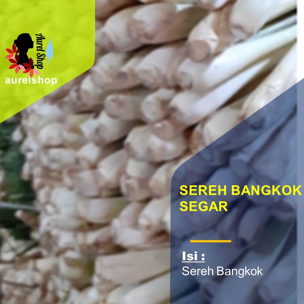 

1 kg Sereh Bangkok Segar