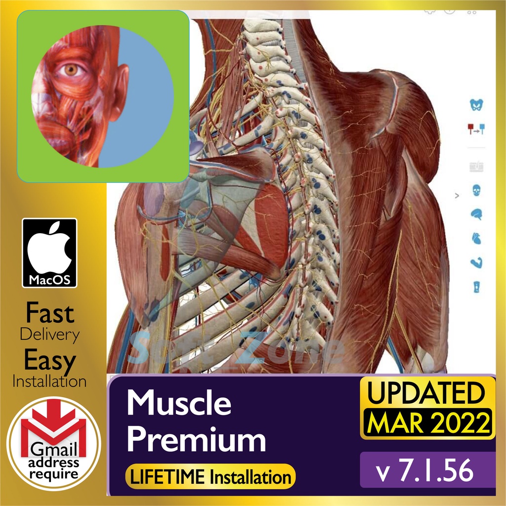 

Mscl Prmm 7.1.56- 3D Mdls f Nrml Antmy & Pthlgs [mcOSX Mntry (Intl/M1) Spprt] - Dgtl Dwnld