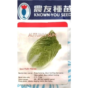 SAWI PUTIH AUTUMN SUN 50 GRAM PACK BESAR benih biji bibit cabbage chinese hibrida f1 known you seed