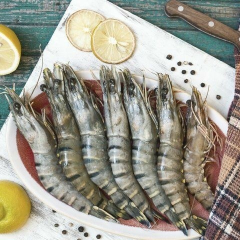 

Udang Pacet Pancet Premium 1000 Gram | 1 kg