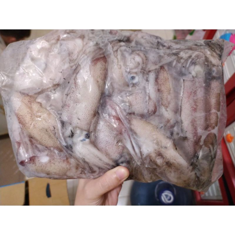

Cumi 1kg
