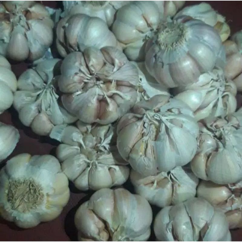 

Bawang Putih Fresh Kemasan 250 Gram