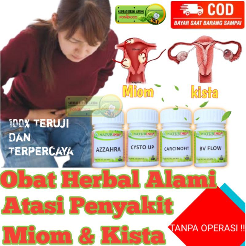 OBAT HERBAL SOLUSI ALAMI ATASI MIOM - KISTA DAN KANKER SERVIKS OBAT MIOM OBAT KISTA NATURINDO
