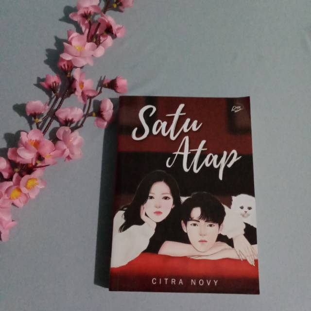 NOVEL ORIGINAL PRELOVED SATU ATAP BY CITRA NOVY