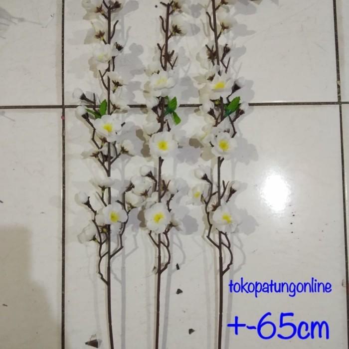 

Bunga Sakura Putih Imlek Kualitas Terbaik
