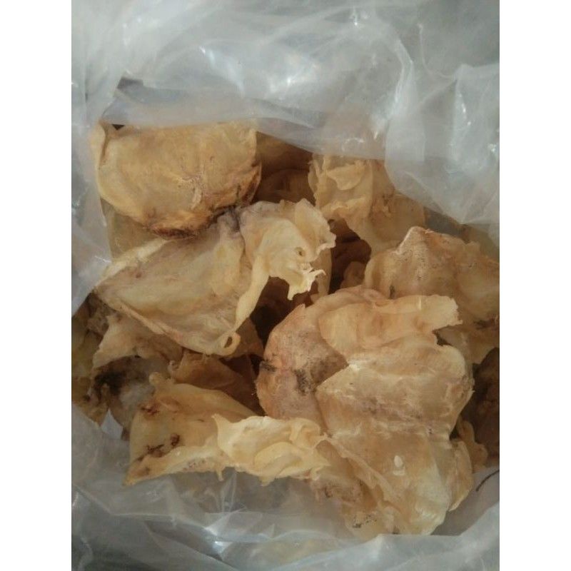 

fishmaw/hepio/gelembung ikan mayong