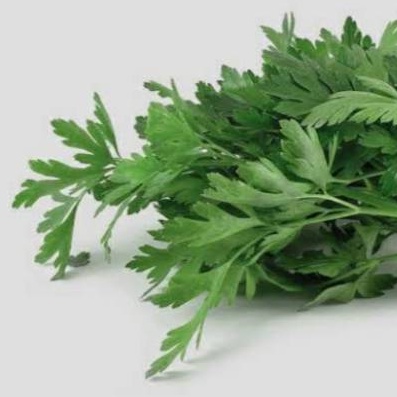 

Daun Seledri Regular/ 250gr