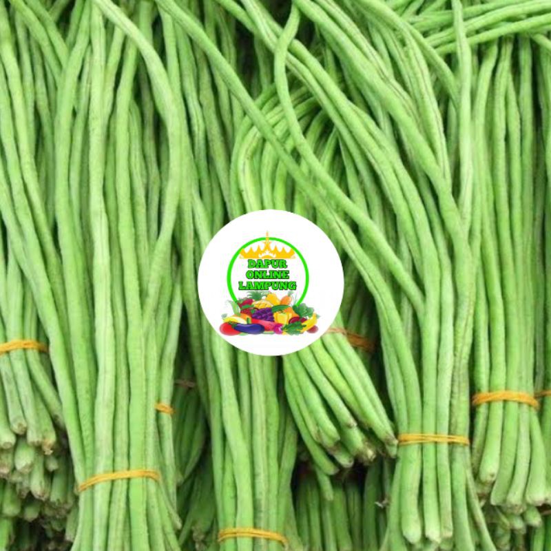 

KACANG PANJANG SAYUR SAYURAN FRESH Bandar Lampung