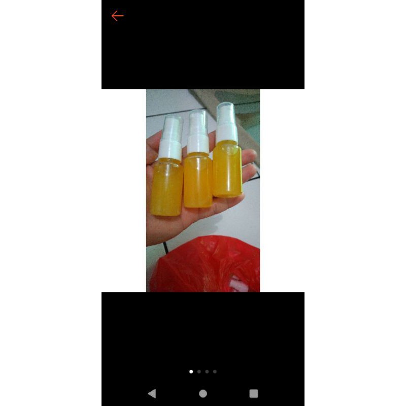 Minyak bulus asli original