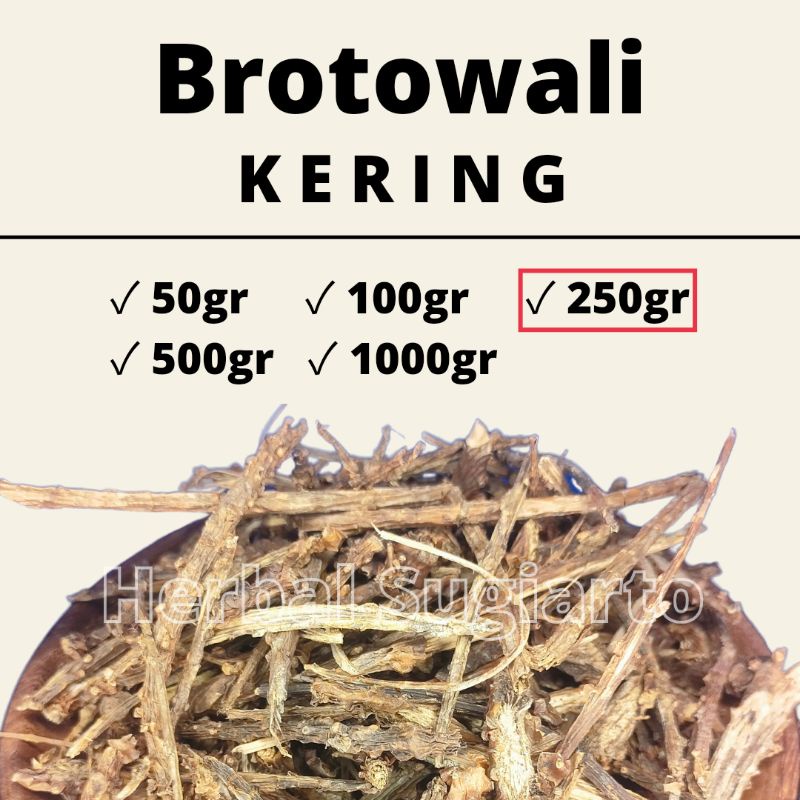 

GROSIR Brotowali Kering 1kg 1000gr 500gr 250gr 100gr 50gr Kualitas BAGUS 250gr
