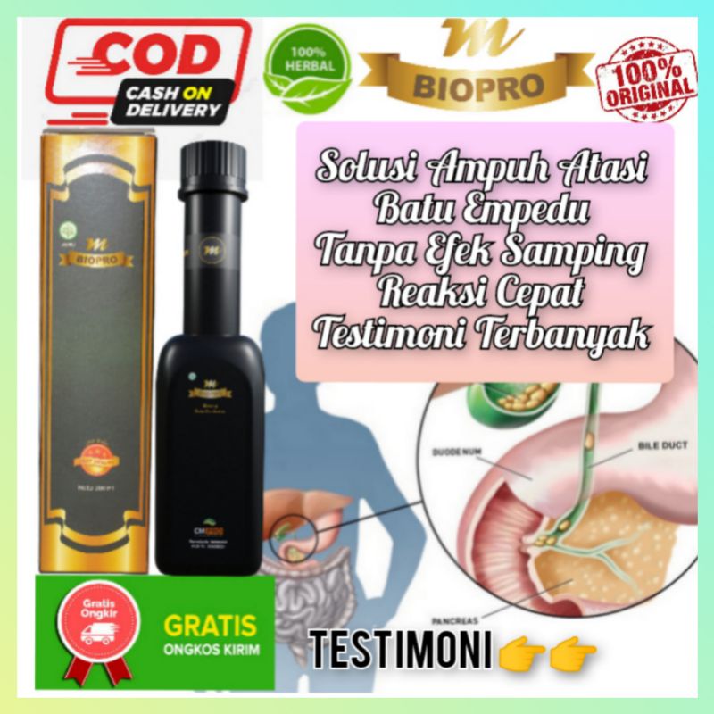 Obat Batu Empedu Obat Herbal Batu Empedu Isi 380 ml M Biopro Herbal Plus Probiotik