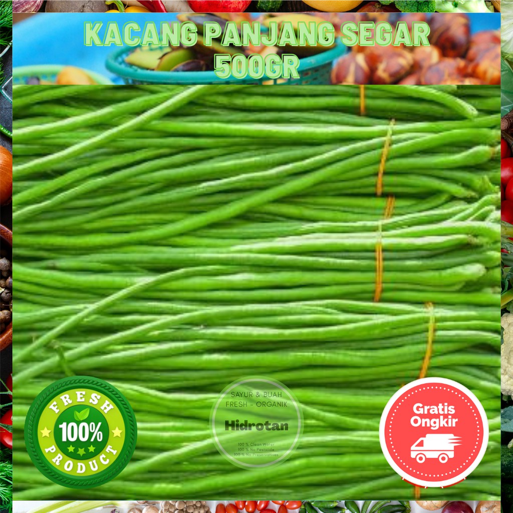 

Kacang Panjang / Kacang / Long Bean 500gr - Sayuran Segar Murah | Paket Makanan | Sayur Combo Fresh - Free Emas