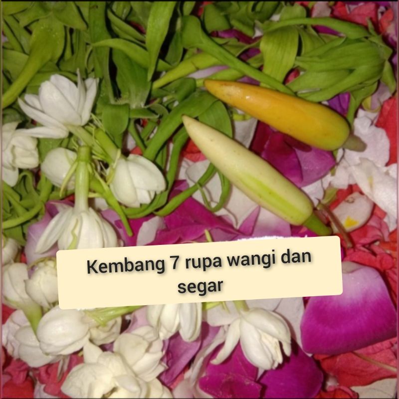 Jual Kembang 7 Rupa / Bunga 7 Rupa Asli Segar | Shopee Indonesia