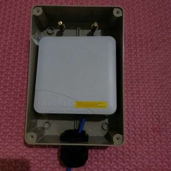 Ruckus 7055 Custom Outdoor