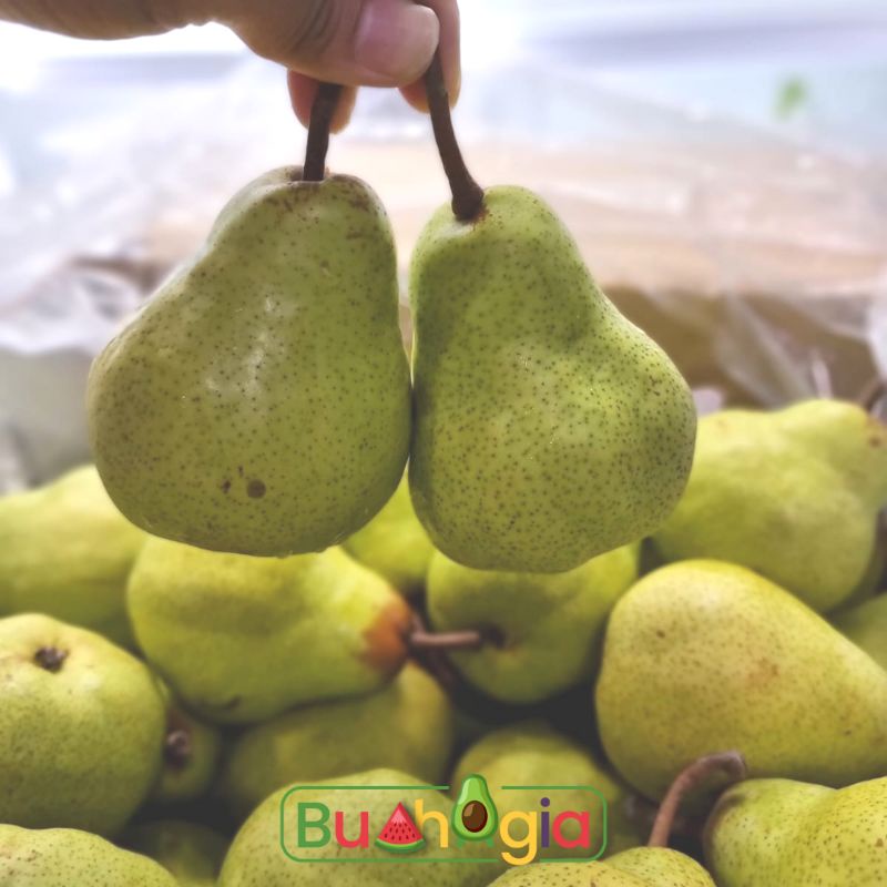 

Buah Pear Peckham